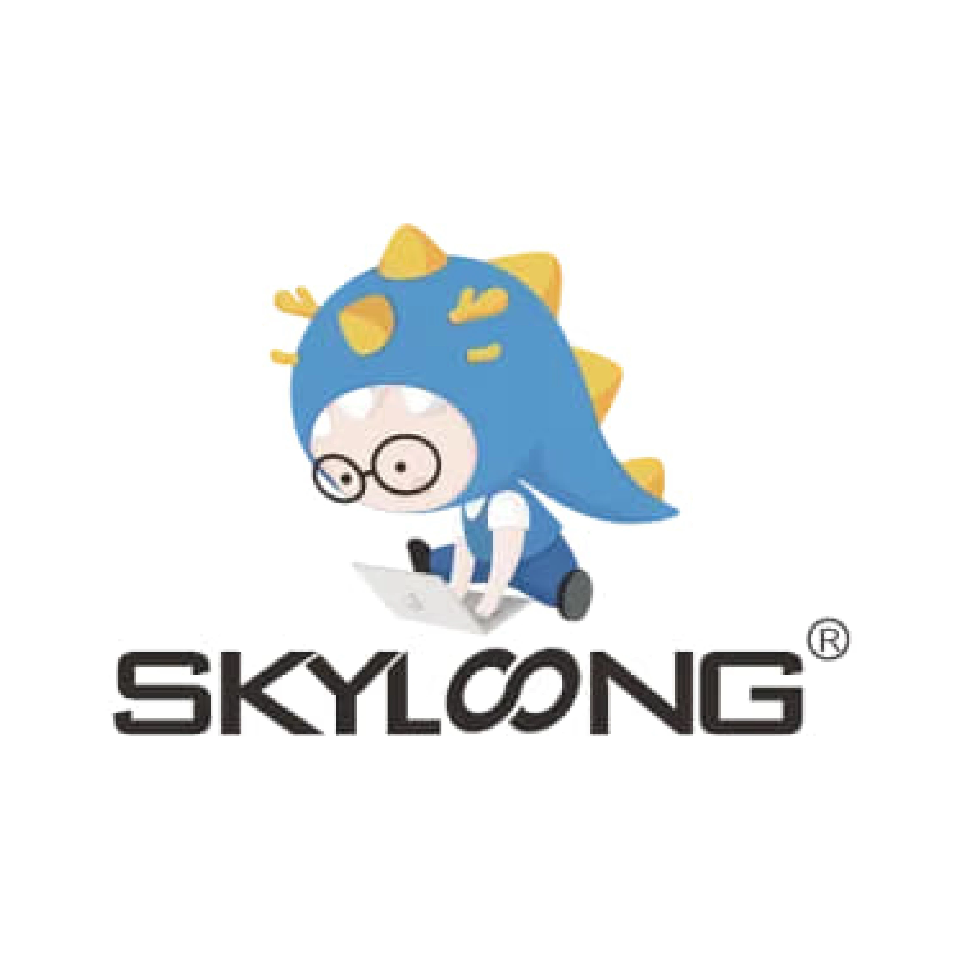 SKYLOONG