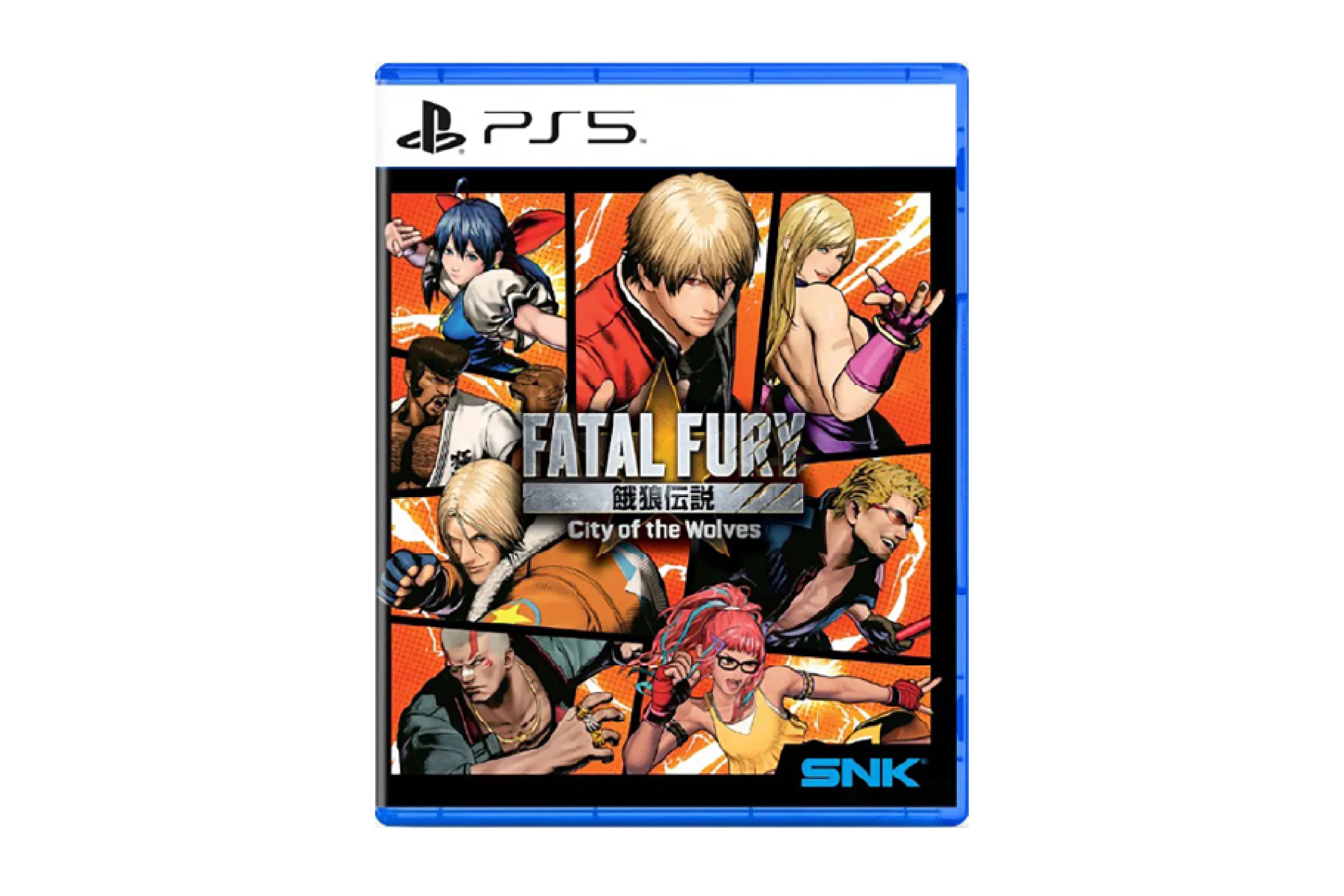 Fatal Fury: City of the Wolves ASI