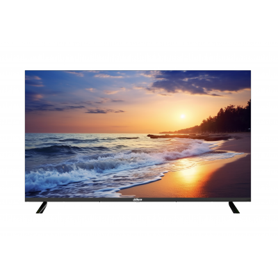 Dahua Monitor DHI-LM32-C301B